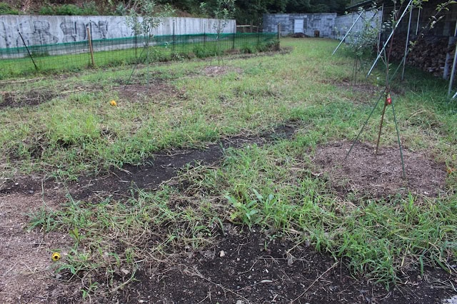 土壌と植物の成長を観察できる畑の写真.