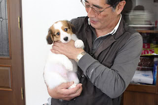 かわいい子犬を抱く男性の写真.
