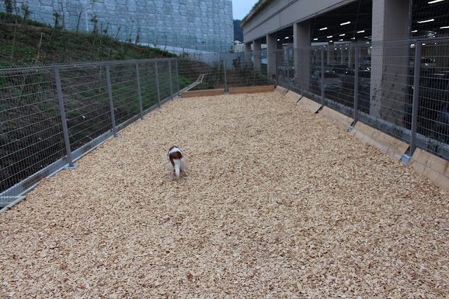 犬が遊ぶための砂利エリアの写真.