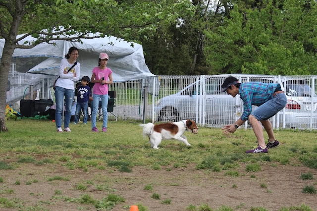 犬と飼い主が楽しそうに遊んでいるミニゲームの風景.