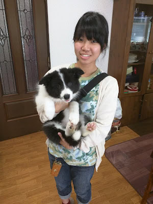 女性が黒白の子犬を抱いている様子.