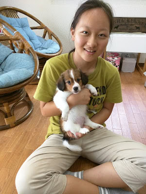 子供と子犬がリビングで遊んでいる様子.