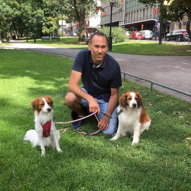 公園で犬と一緒に散歩する男性の画像.