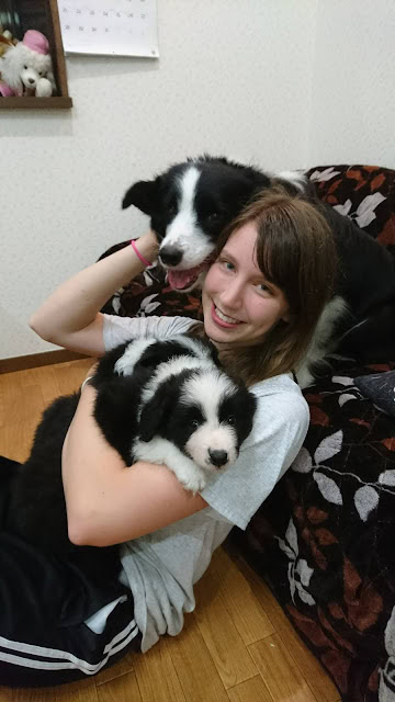 女性と2匹の犬がソファで楽しそうに過ごす様子.