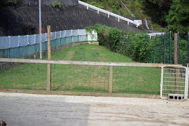青空の下、整備された緑の庭とフェンスが見える風景.