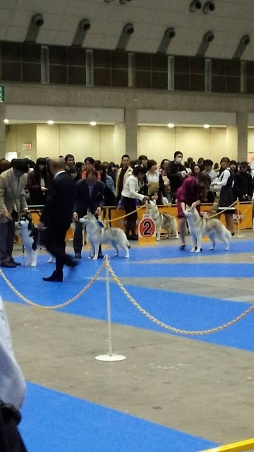 犬と飼い主が集まる東京インターの様子.