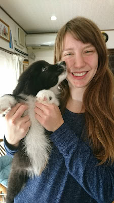 子犬と女性の笑顔の写真、暖かい家庭の雰囲気を伝えます。.