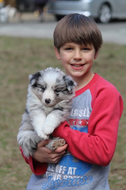 子供と可愛い子犬の笑顔の写真.
