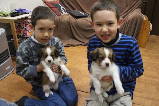 子供たちがかわいい子犬を抱いている様子.