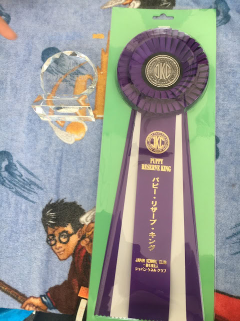 優勝リボンとトロフィーの写真.