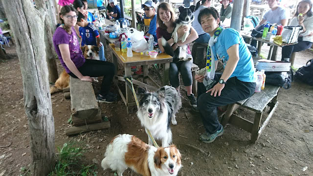 ハイキング中のグループと犬たちの集合写真.