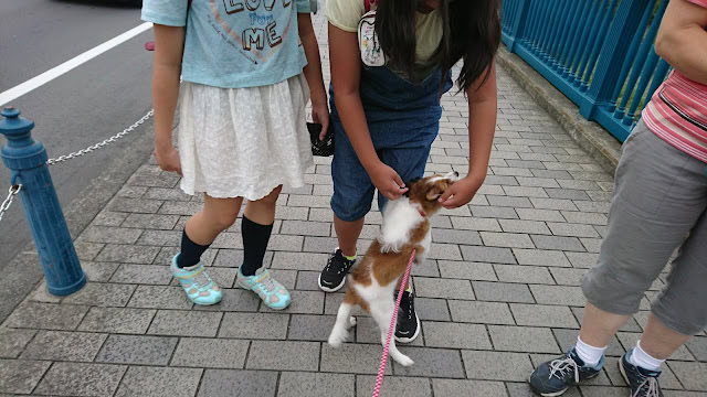 犬と子供たちが公園で遊んでいる様子.