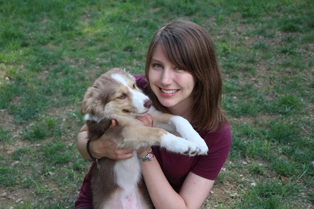 犬と遊ぶ少女の写真、幸せな瞬間を捉えたシーン.