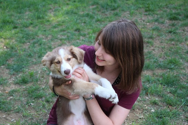 子犬と遊ぶ女性の笑顔の写真.