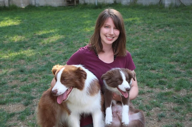 犬と遊ぶ女性の写真、屋外の緑の背景.