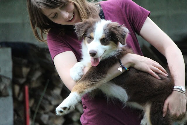 子犬と遊ぶ女性の笑顔と楽しさを表現した画像.