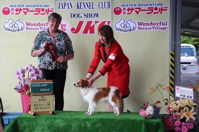 ジャパンケンネルクラブのドッグショーで犬と飼い主が表彰されるシーン.