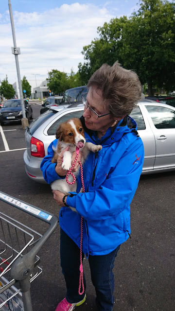 女性が犬を抱きしめている様子を捉えた写真です。.