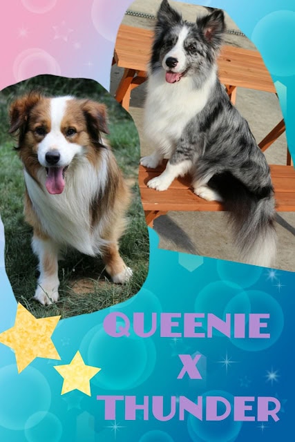 多彩な背景と星のデザインが特徴の写真.