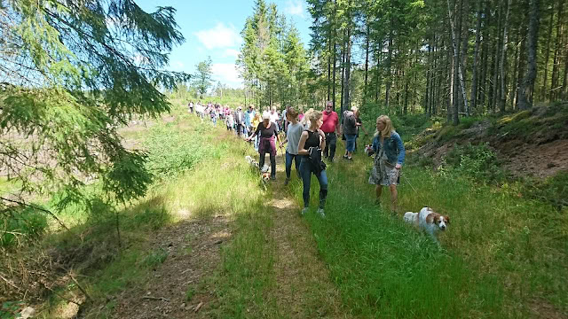 森の中を歩く観光客と犬のグループの風景.