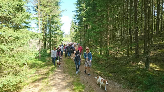 森林散策を楽しむ人々の様子.