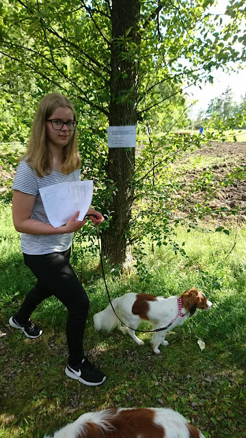 森の中で散歩する女性と白と茶の犬の写真.
