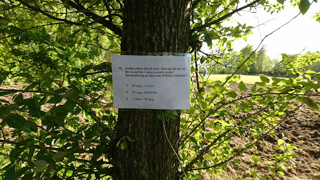 スウェーデンの木に貼られた掲示板の写真.