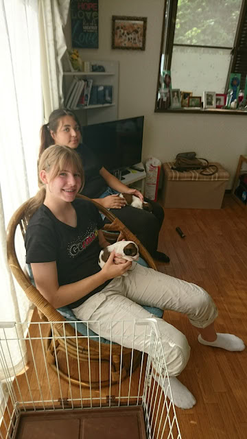 二人の少女がリビングでシャルっ子と遊んでいる様子.