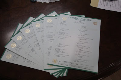 証明書の写真、複数枚の書類が並んでいる画像です。.