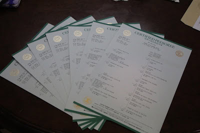 パピーパーティ参加証明書の複数枚の写真です。.