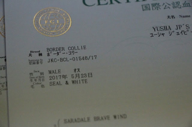 認定証の詳細情報と犬の品種、性別、誕生日が記載されています。.