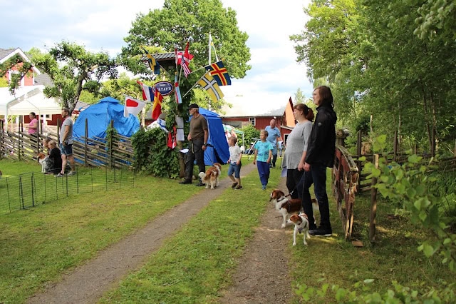 スウェーデンの旗と人々が集まる屋外イベントの様子.