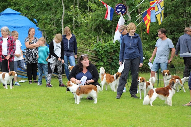 犬と一緒に楽しむアウトドアイベント.