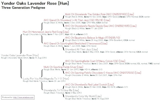 ラベンダーとローズの香りが楽しめる三世代のペグリードの詳細画像.