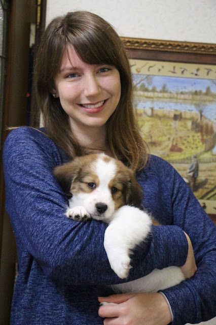 人と子犬の癒しの瞬間.