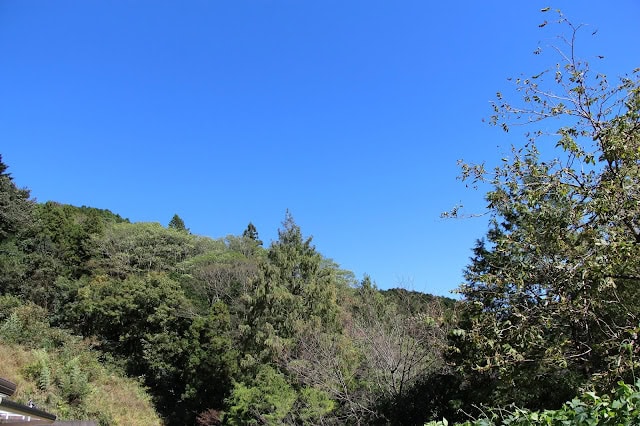 青空と山の緑が広がる晴れた日。台風の影響で木々が揺れる様子も見られる。.