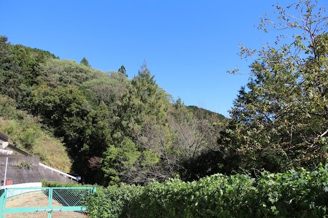 台風後の晴れた青空と緑豊かな山の風景.