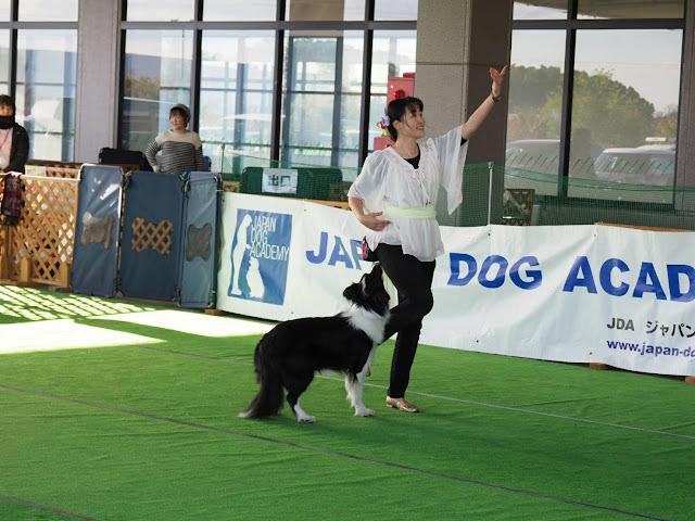 子供と犬が一緒に訓練を行う様子を示しています。.