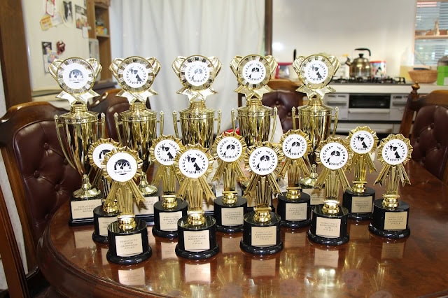 オフ会の参加者に贈られた多彩なトロフィーのコレクション.