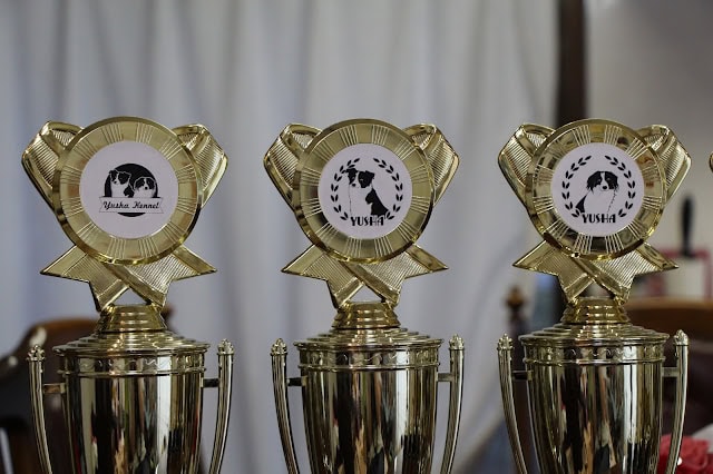 優勝トロフィーのクローズアップ写真.