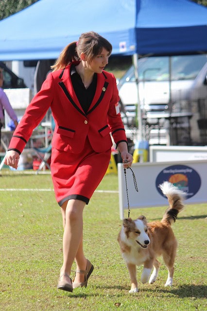 犬と一緒に歩く女性のドッグショー参加者の様子.