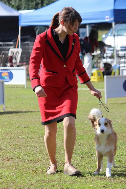 女性と犬がドッグショーで歩いている様子.