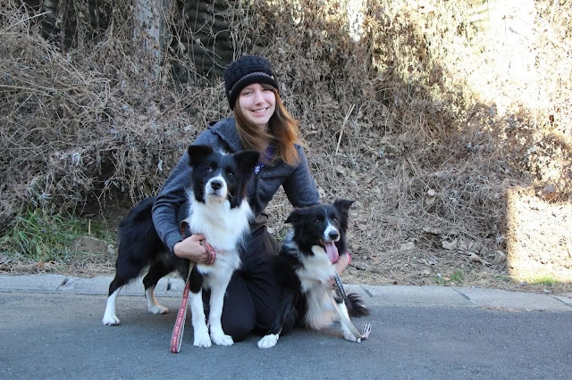 女性と2匹の犬が自然の中で散歩している様子.