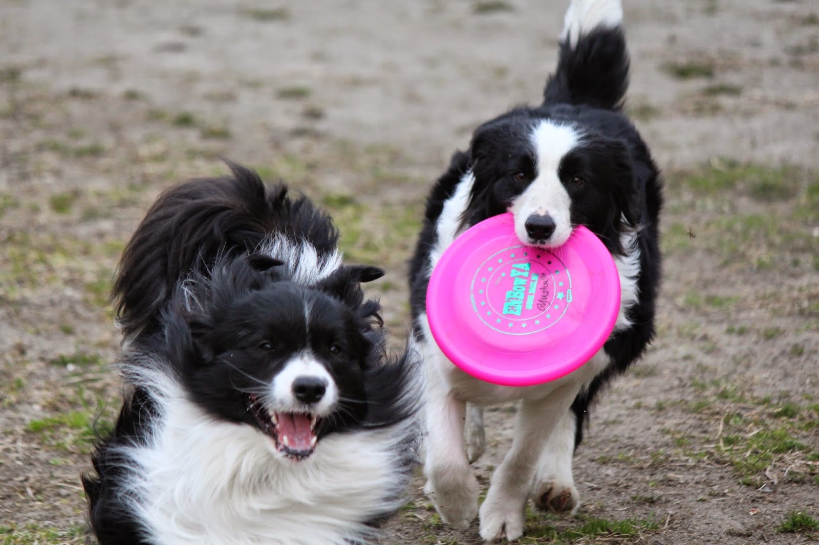 なにをしているかというと…