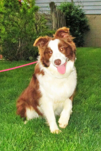 テイラー7か月!!