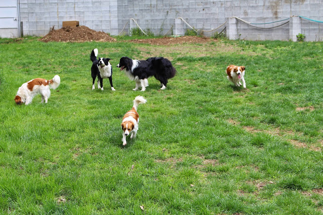 フィールドで♪　