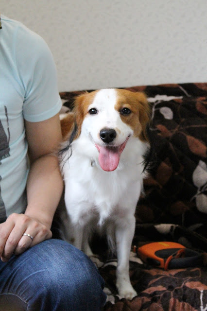 ニコちゃんお里帰り♡