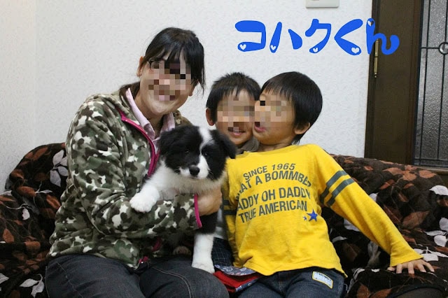 しおりっ子お迎え