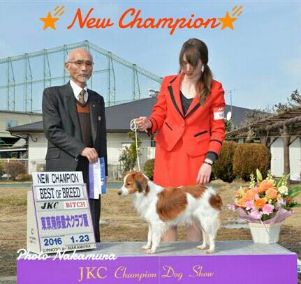 オパールJKC.チャンピン完成