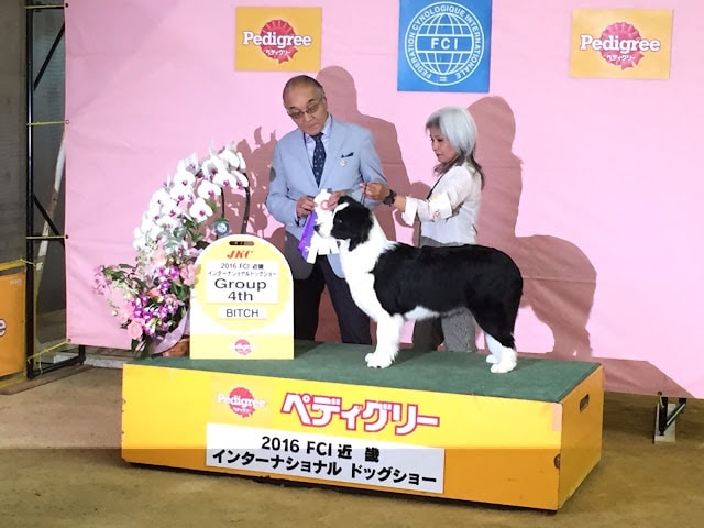 インターでBOB&グループ4席✨